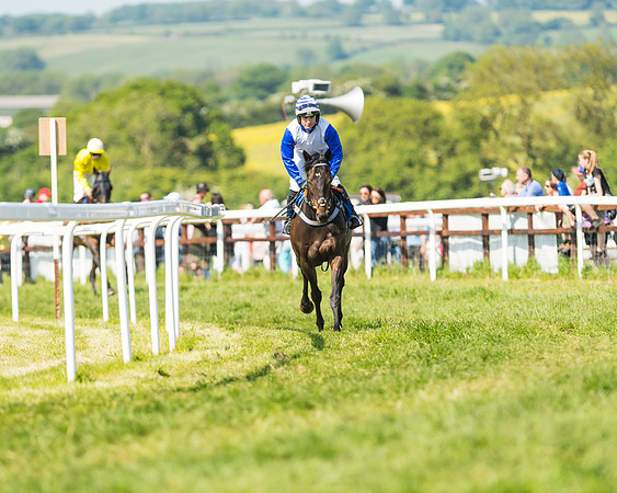 Edgcote Races