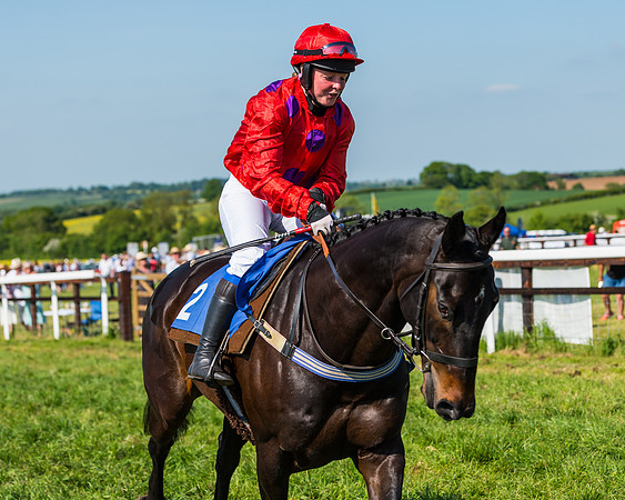 Edgcote Races