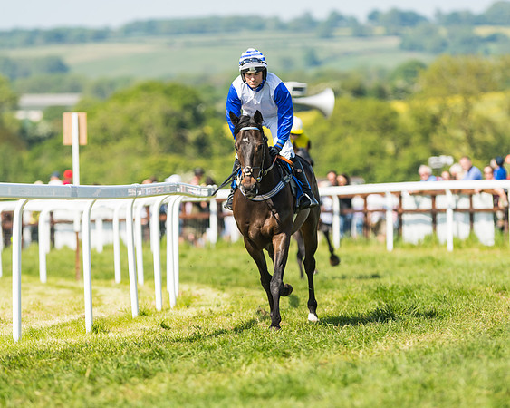 Edgcote Races