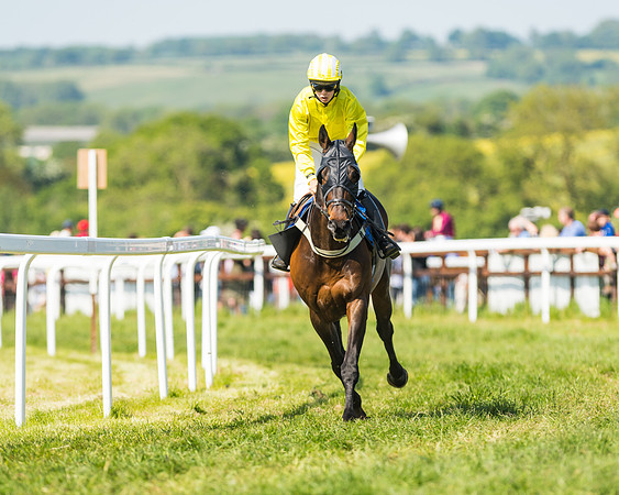 Edgcote Races