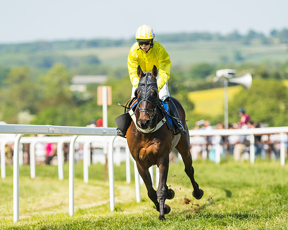 Edgcote Races