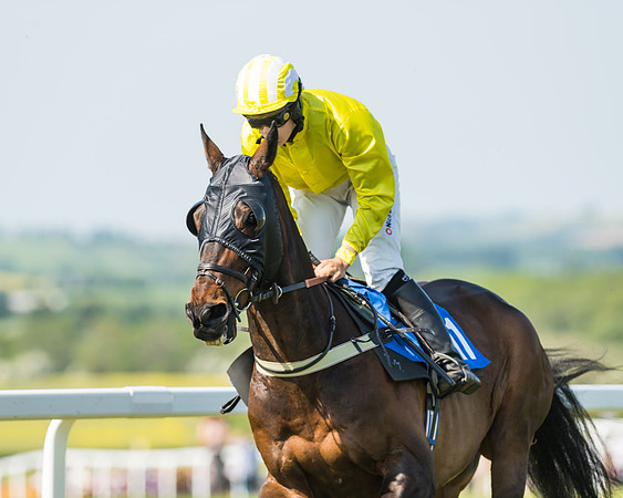 Edgcote Races