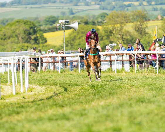 Edgcote Races