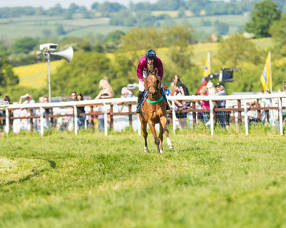 Edgcote Races