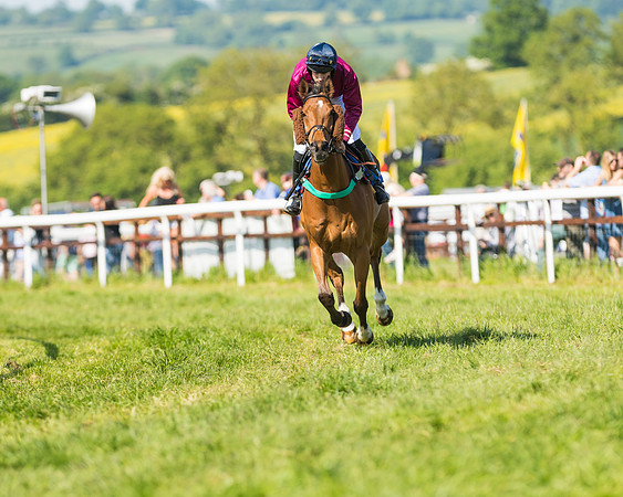 Edgcote Races