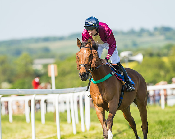 Edgcote Races