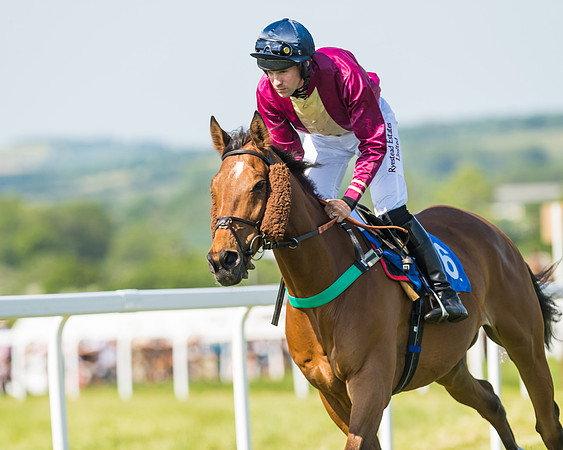 Edgcote Races