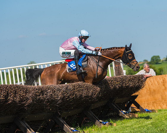 Edgcote Races