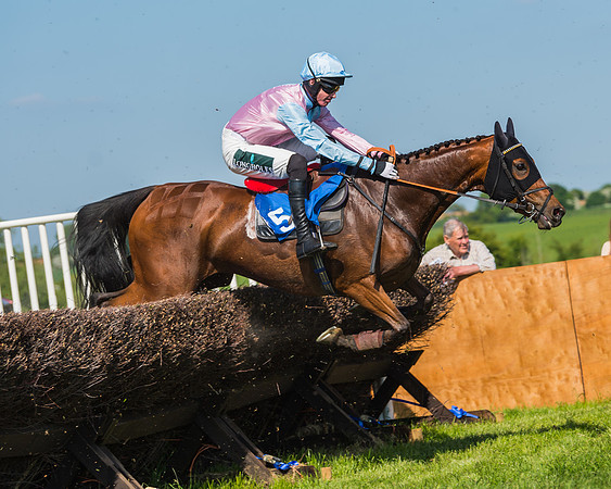 Edgcote Races