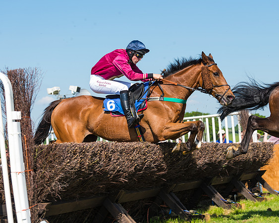 Edgcote Races