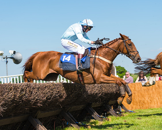 Edgcote Races