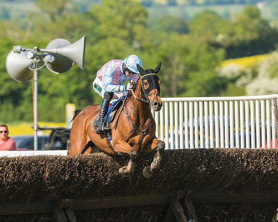 Edgcote Races