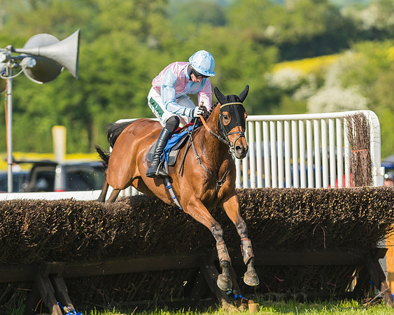 Edgcote Races