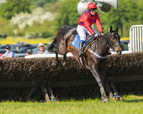 Edgcote Races