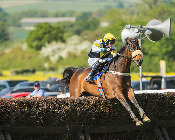 Edgcote Races