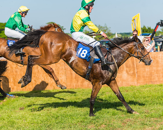 Edgcote Races