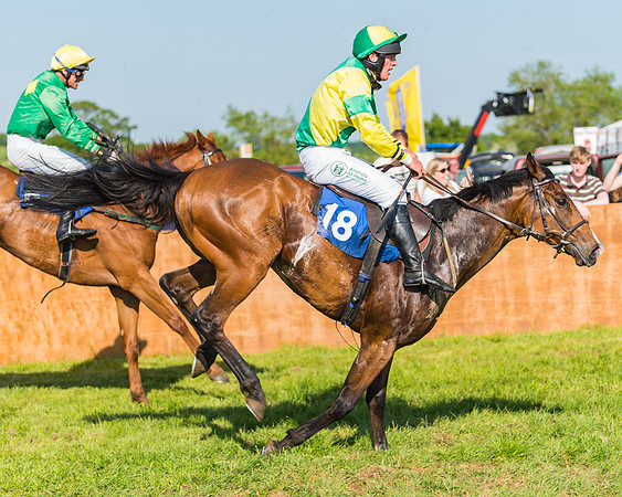 Edgcote Races