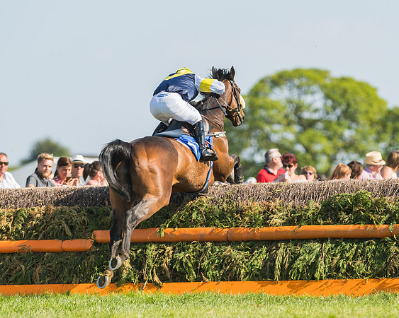 Edgcote Races