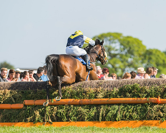 Edgcote Races