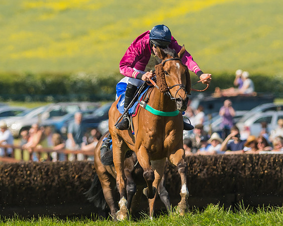 Edgcote Races