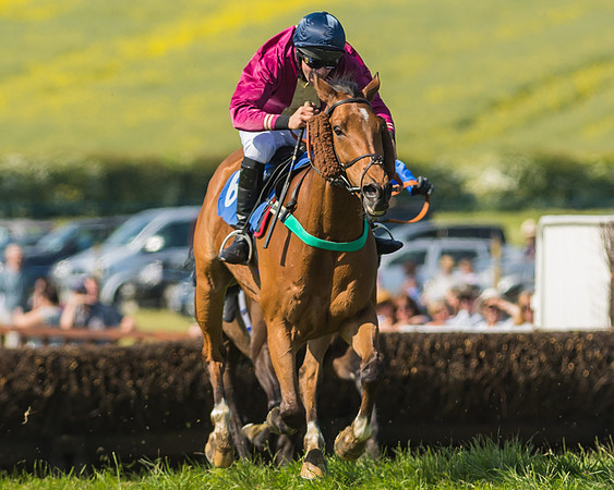 Edgcote Races