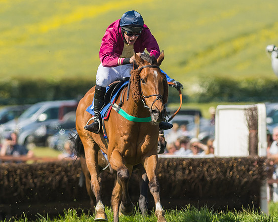 Edgcote Races