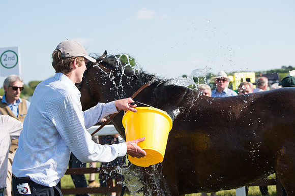 Edgcote Races