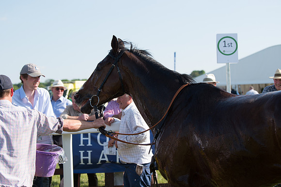 Edgcote Races