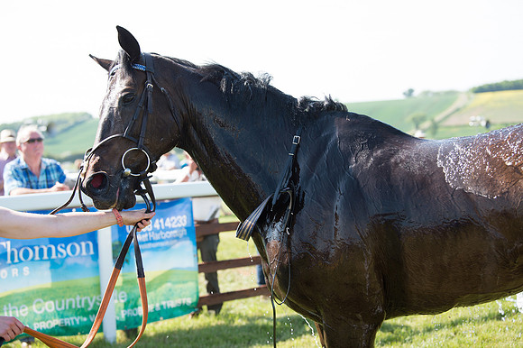 Edgcote Races