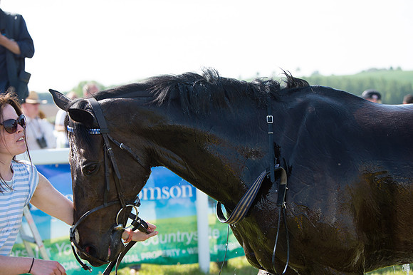 Edgcote Races