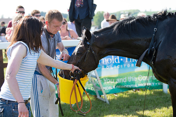 Edgcote Races