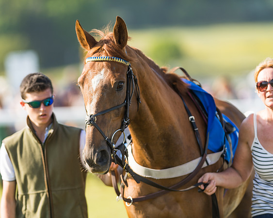 Edgcote Races
