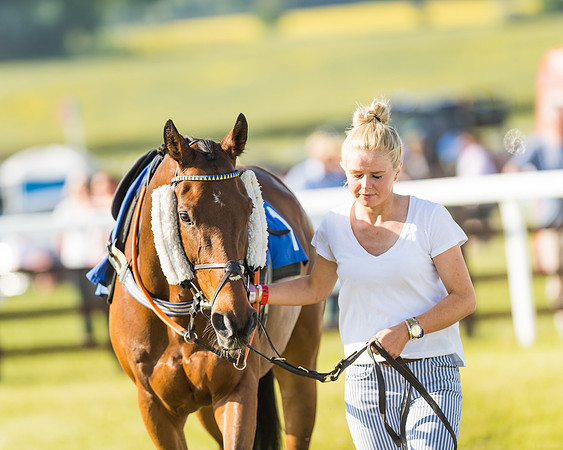 Edgcote Races