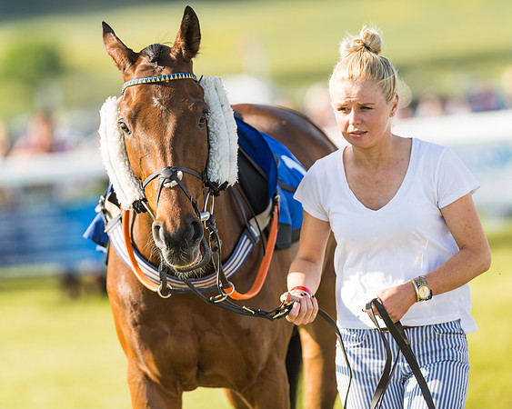 Edgcote Races