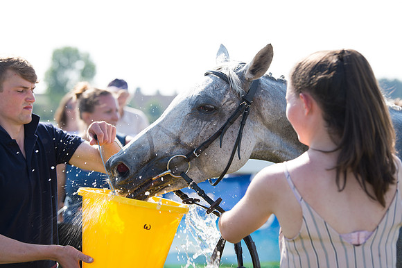 Edgcote Races