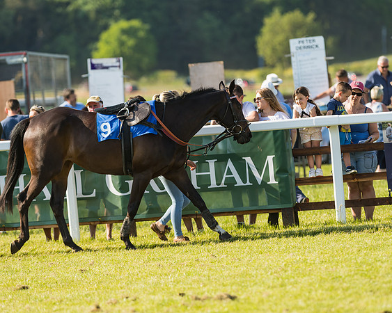 Edgcote Races