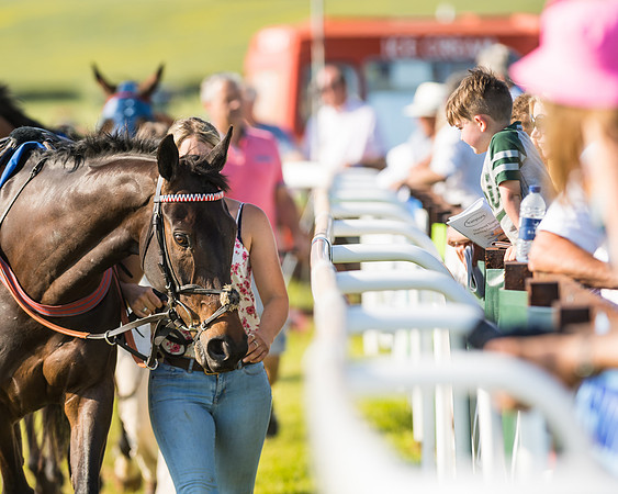 Edgcote Races