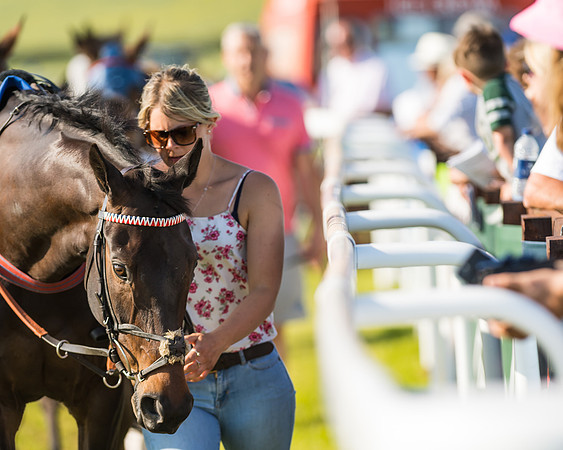 Edgcote Races