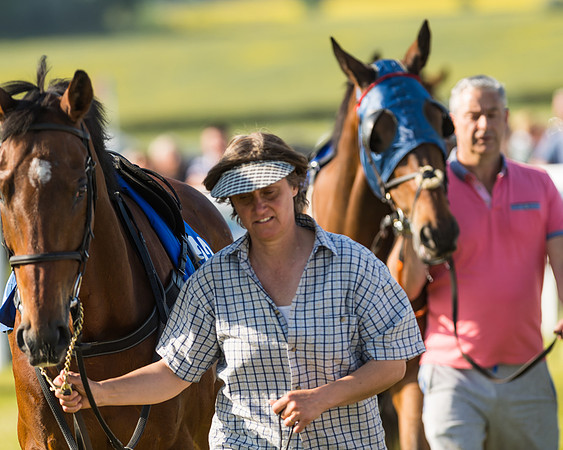 Edgcote Races