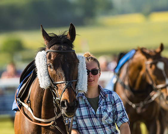 Edgcote Races
