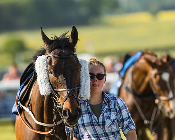 Edgcote Races