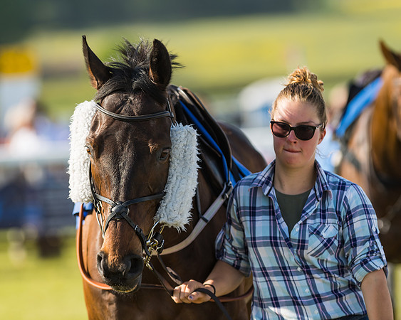 Edgcote Races