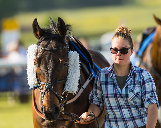Edgcote Races