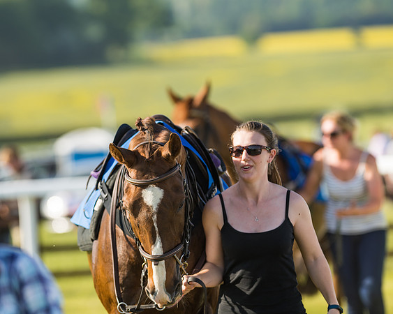 Edgcote Races
