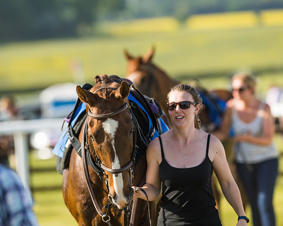 Edgcote Races