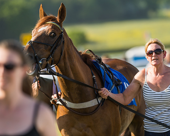 Edgcote Races