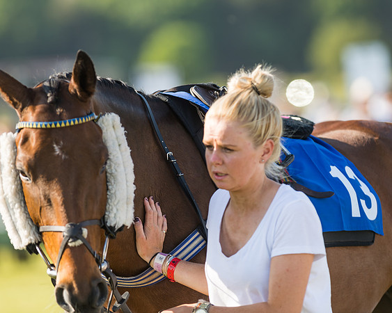 Edgcote Races