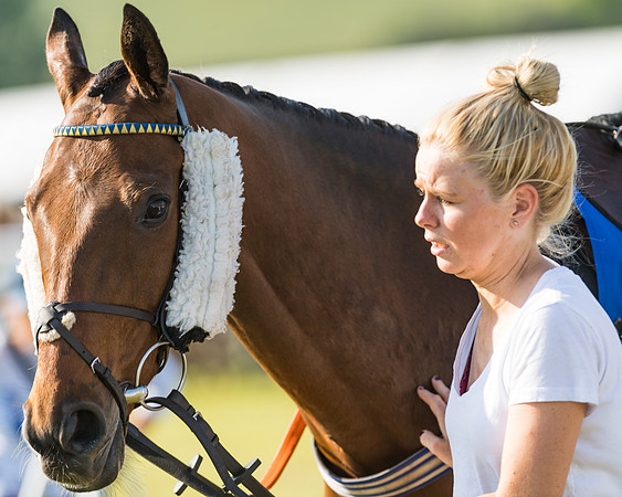 Edgcote Races
