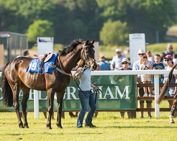 Edgcote Races