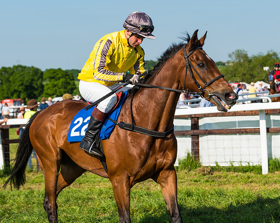 Edgcote Races